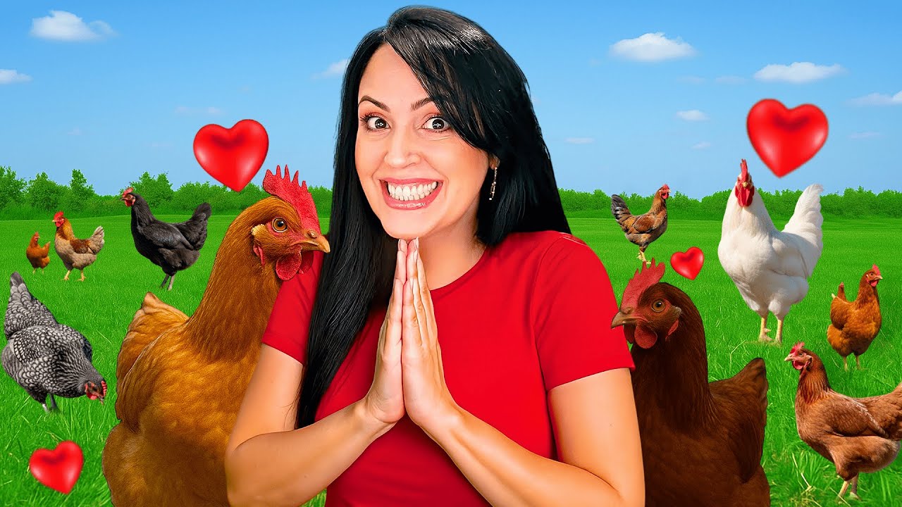 Tratamos de Juntar los Pollitos con las Gallinas Contentas 😮 La Finquita Bonita