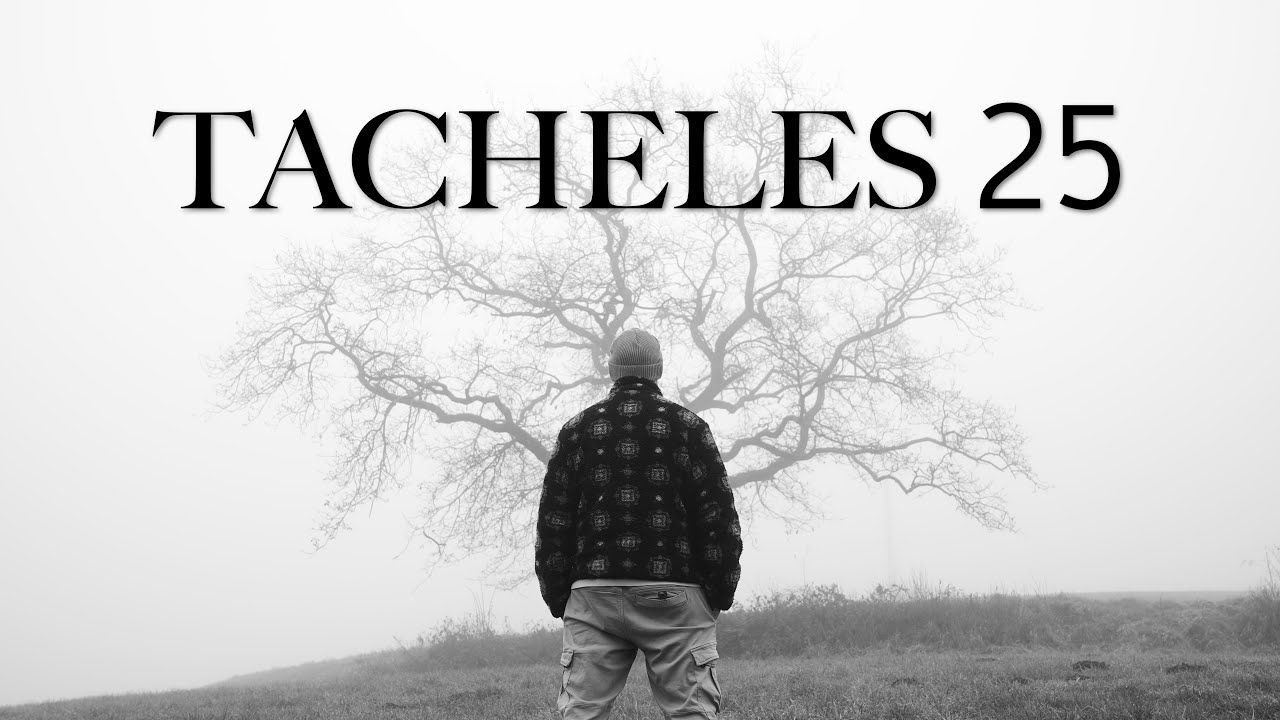 Skogan - Tacheles 25 (OFFICIAL VIDEO)