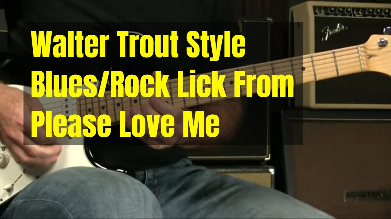 Уолтер Траут Please Love Me Blues Or Blues/Rock Guitar Lick