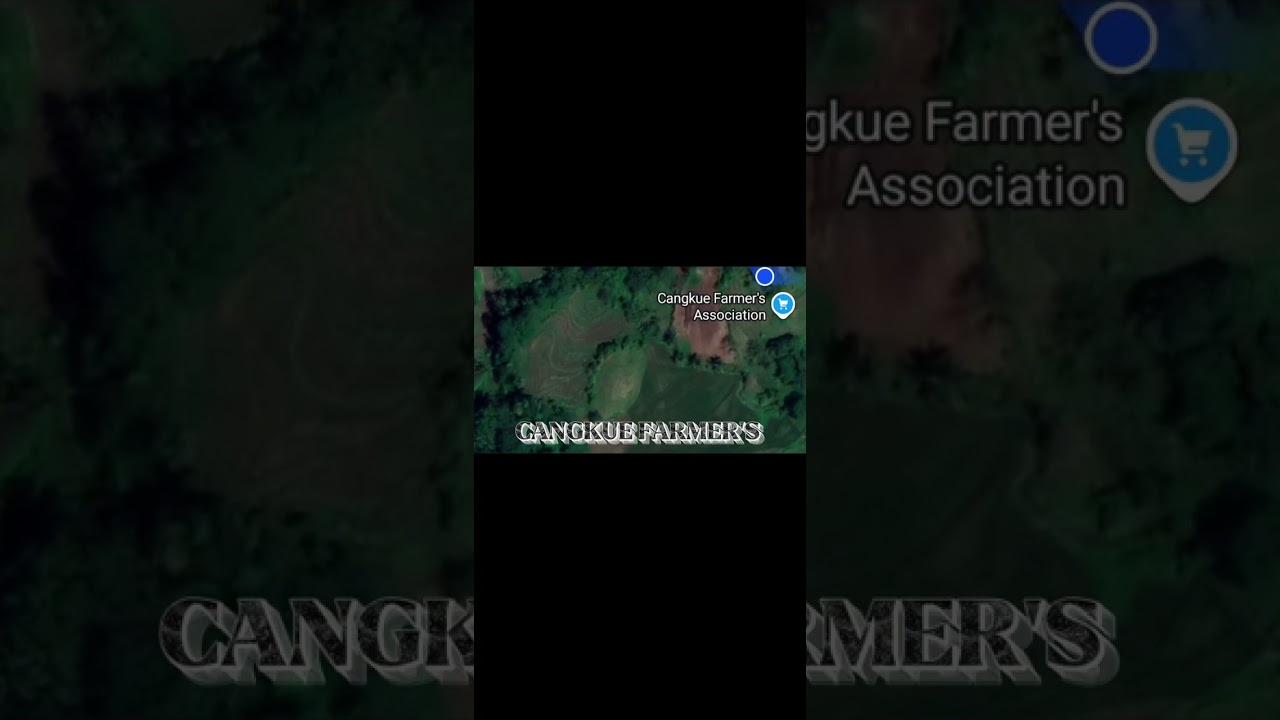 [CANGKUE FARMER'S]_Disco party 🥳 🎉 ✨️ ♥️ 