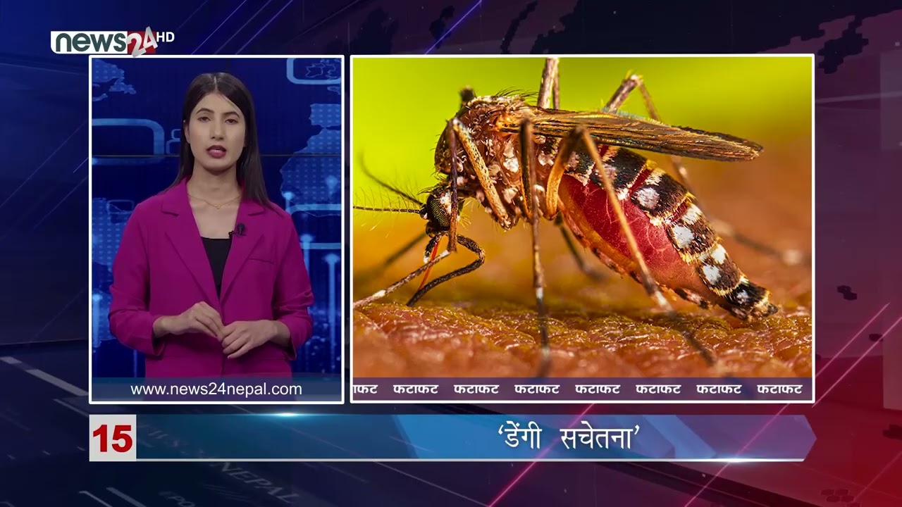 MORNING NEWS FATAFAT -NEWS24 TV