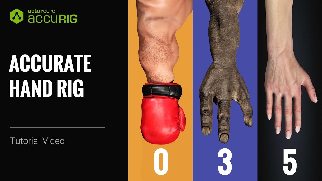 Get Perfect Hand Rigging for Your 3D Characters with Free Auto-Rigging Tool | AccuRIG