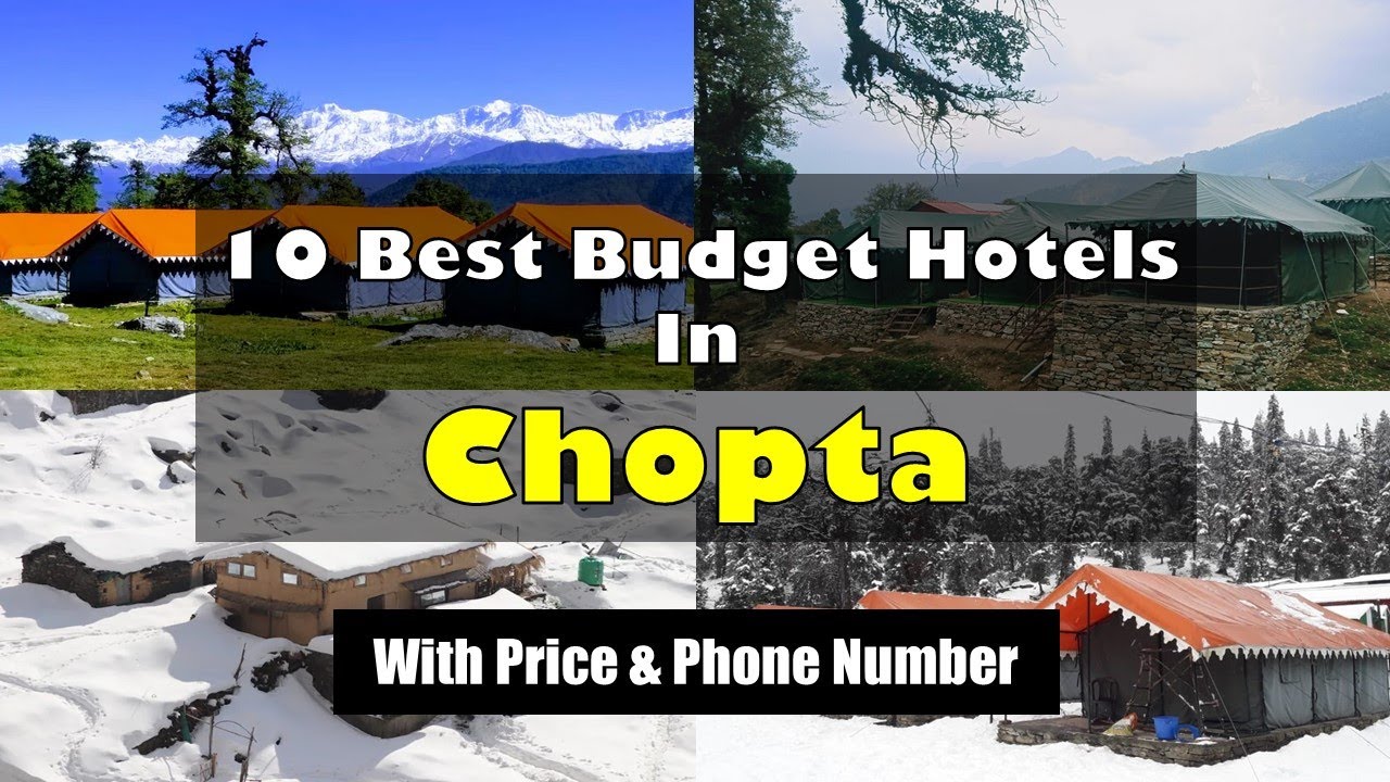10 Best Budget Hotels In Chopta With Phone Number | चोपता में सस्ते होटल