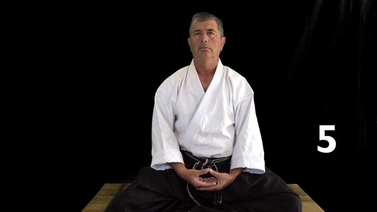 Zen Meditacion Ki Energia Interna