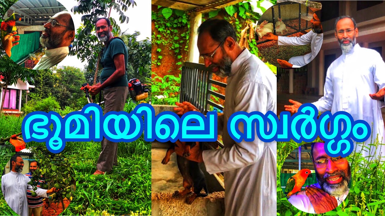 Davis Chiramel | ഡേവിസ് ചിറമ്മൽ അച്ചന്റെ കൃഷിത്തോട്ടവും  കൃഷിരീതികളും|Part-2