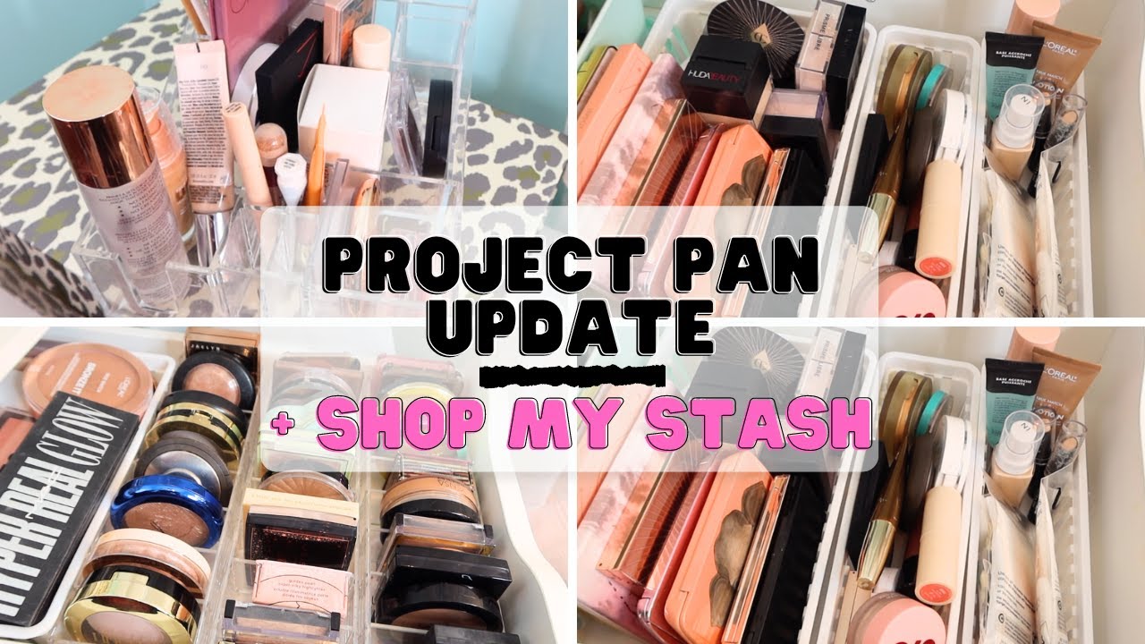 Project Pan Update I Shop My Stash