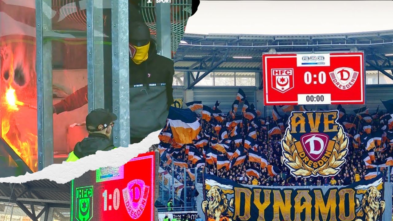 Hallescher FC - SG Dynamo Dresden 1:0 Highlights| 28. Spieltag
