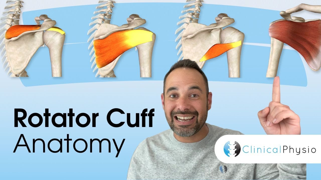 Rotator Cuff Anatomy | Expert Physio Guide