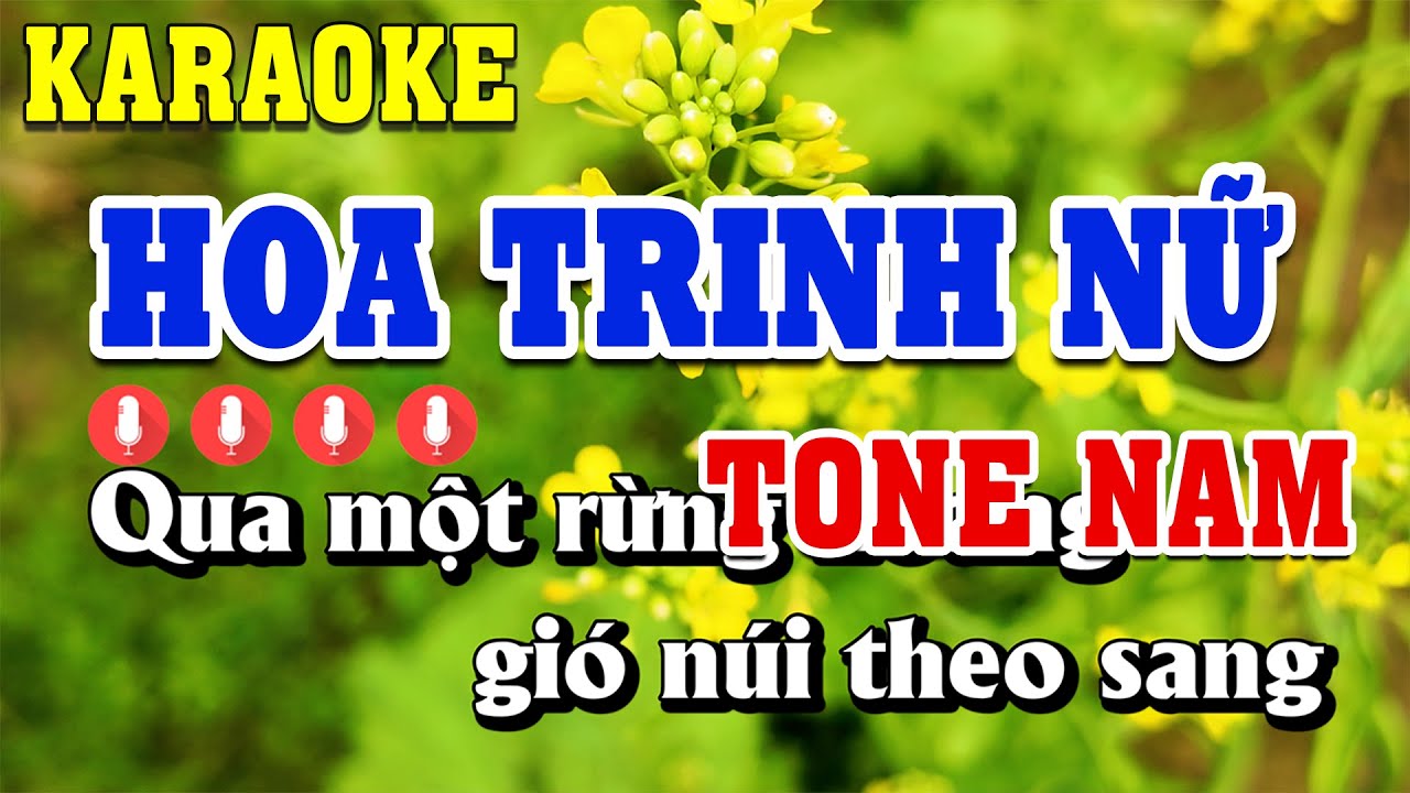 Hoa Trinh Nữ Karaoke Tone Nam ( A ) Beat Chuẩn | Linh Linh Karaoke