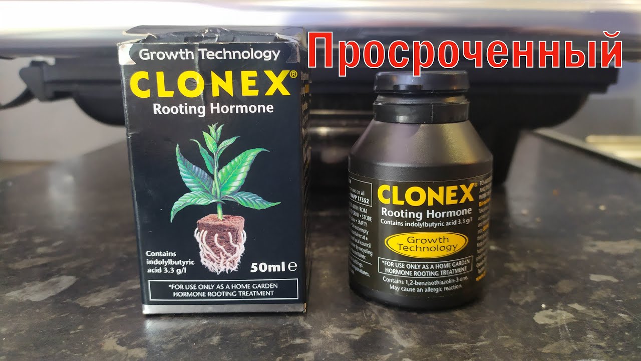 Как сработал просроченный 