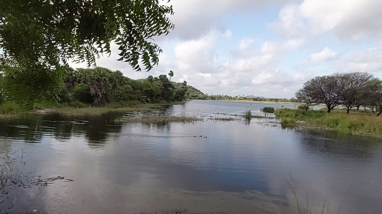 Raw Nature video of my village 🏡🏡🏡🏡