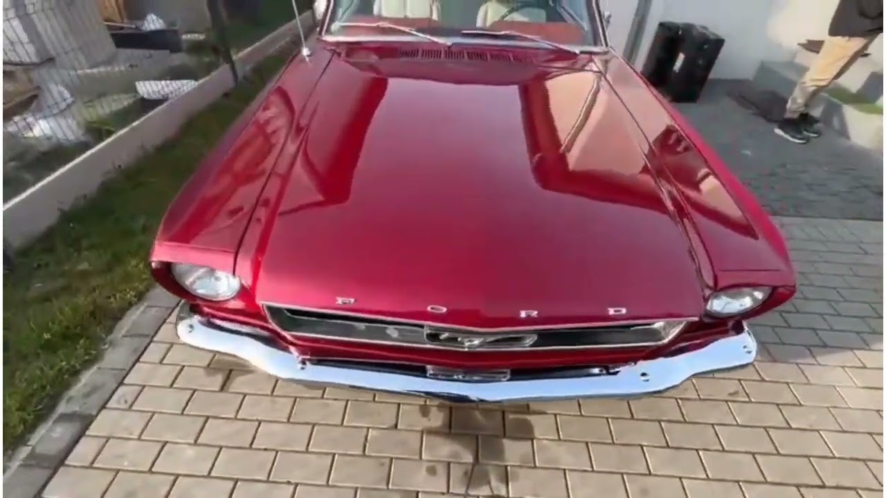 Samoch&oacute;d do ślubu Podkarpacie Ford Mustang 1966r 5 litr&oacute;w V8