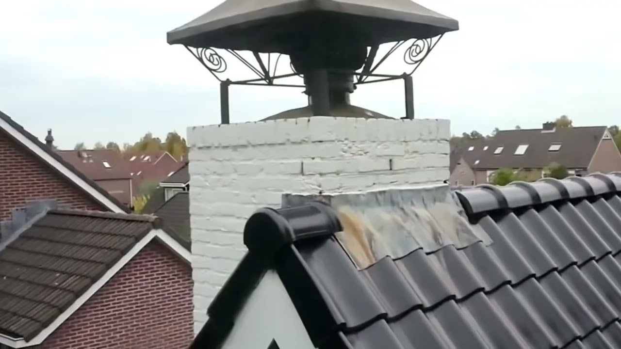 Aziatische HOORNAARS in schoorsteen in Lopik 