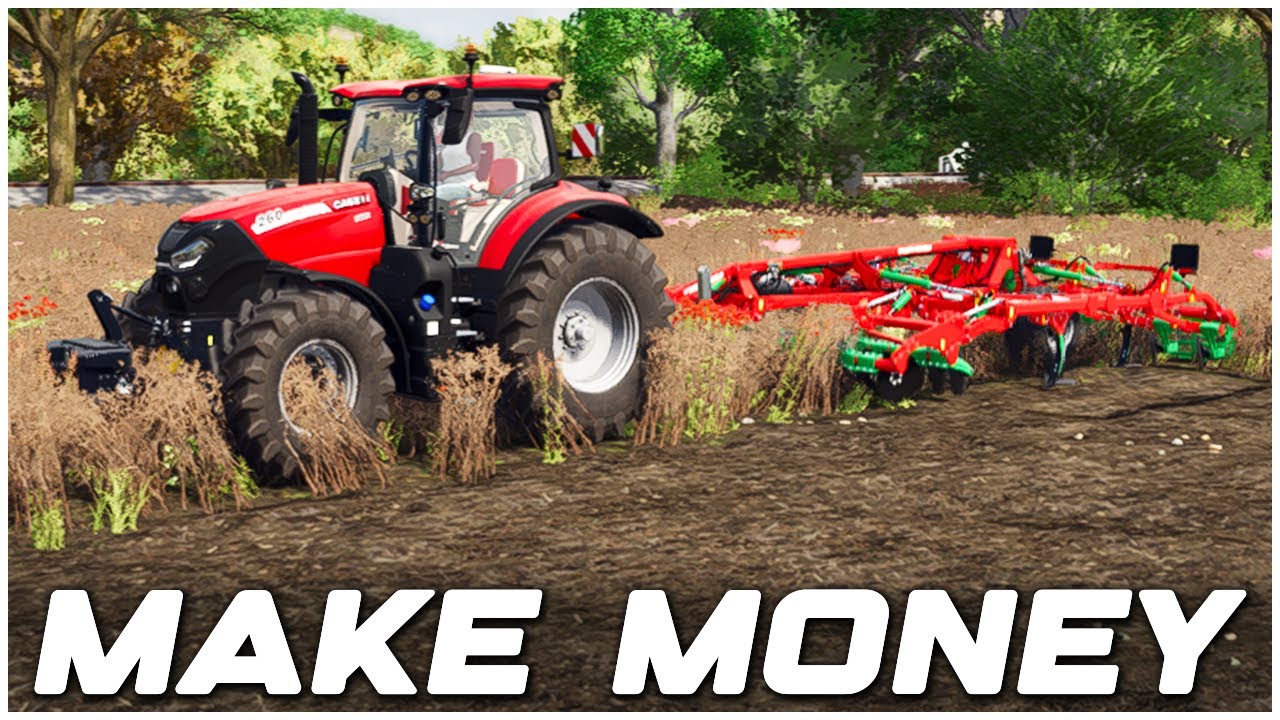 Farming Simulator: 25 лучших способов заработать деньги (советы и рекомендации)