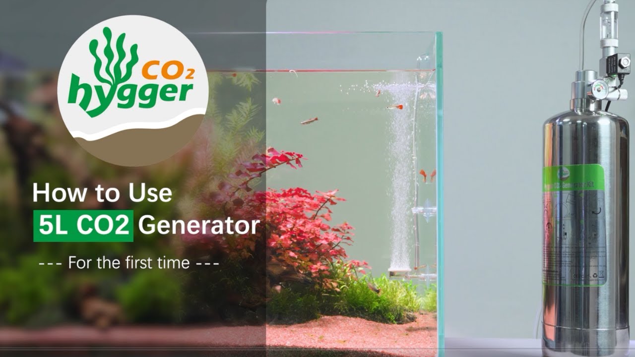 How to Easily Set Up the hygger HC018 CO2 Generator | Step-by-Step Guide