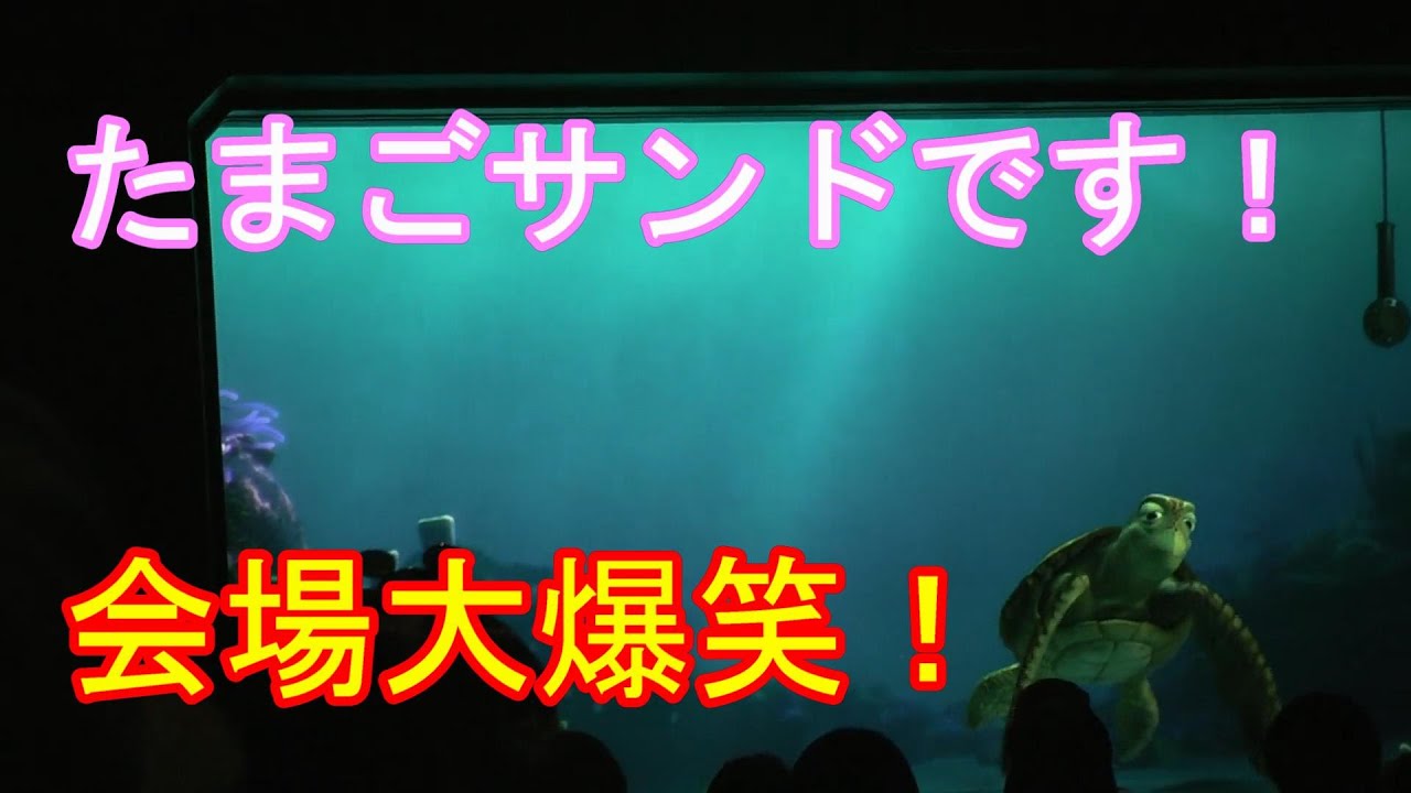 【大爆笑】たまごサンドです【タートルトーク】東京ディズニーシー
