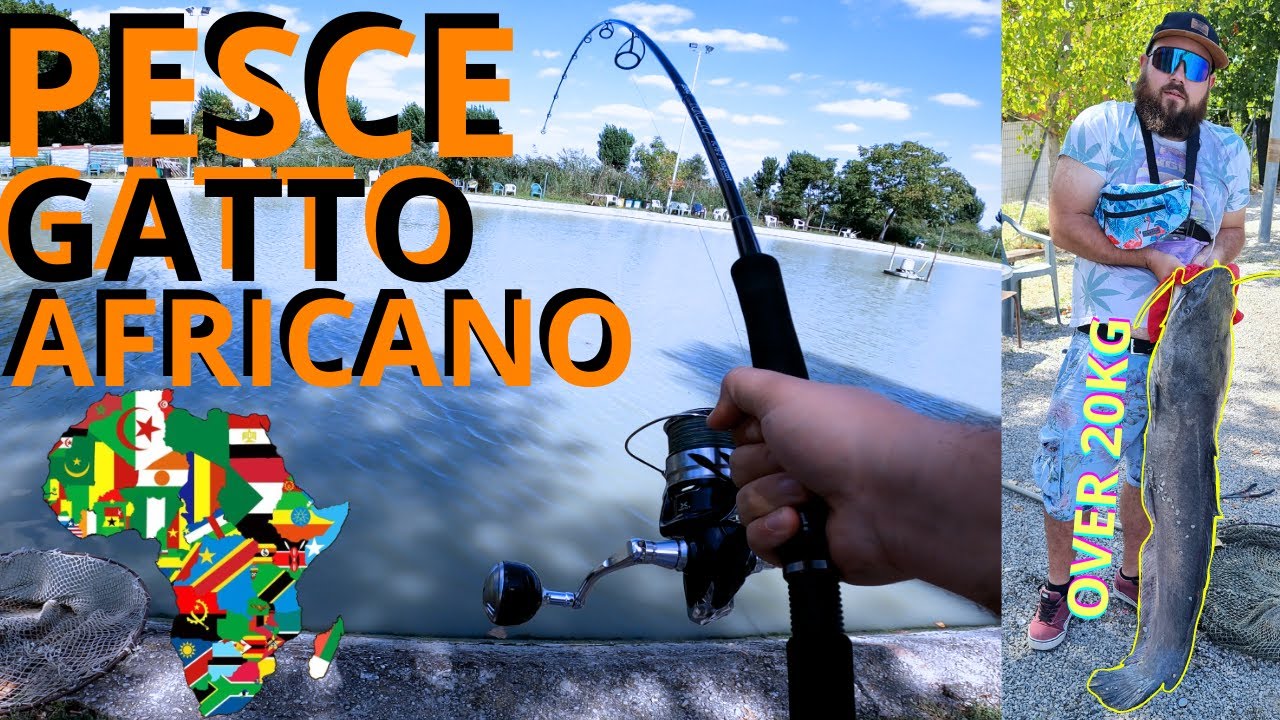 Pesca del PESCE GATTO AFRICANO-Laghi veleno