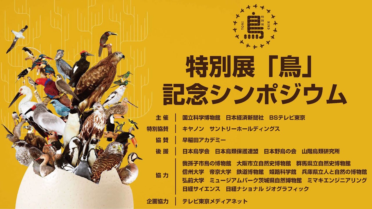 【特別展　鳥】記念シンポジウム　①監修者講演・質疑応答