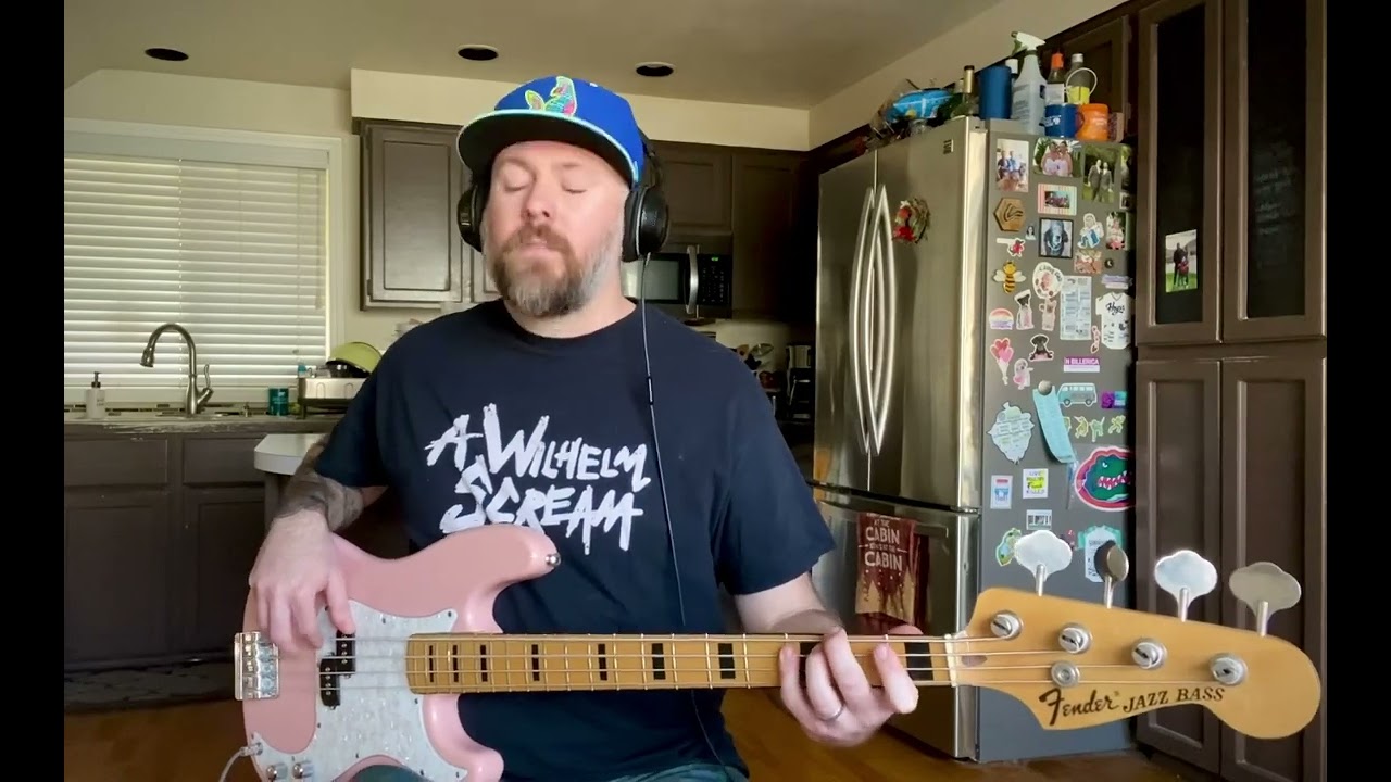 Propagandhi | “At Peace” bass cover