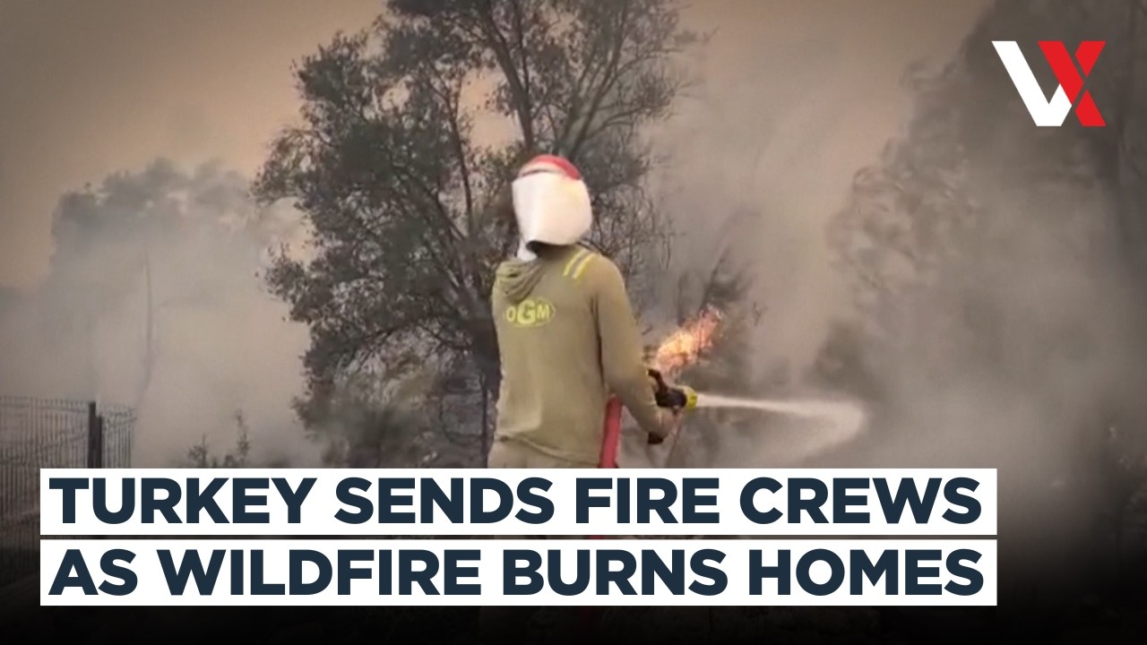 Turkey Deploys Massive Fire Response After Wildfire Burns Houses In Fethiye | VERTEX