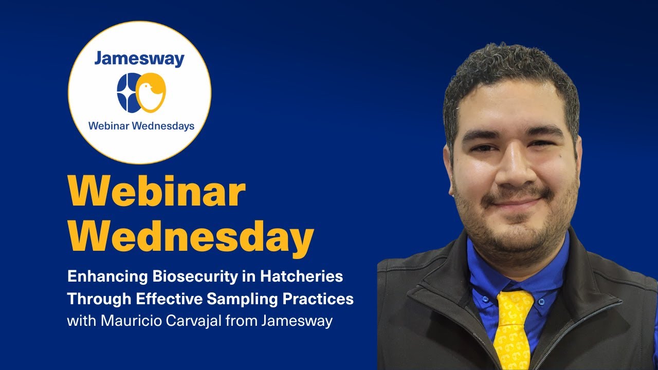 Enhancing Biosecurity in Hatcheries Through Effective Sampling Practices
