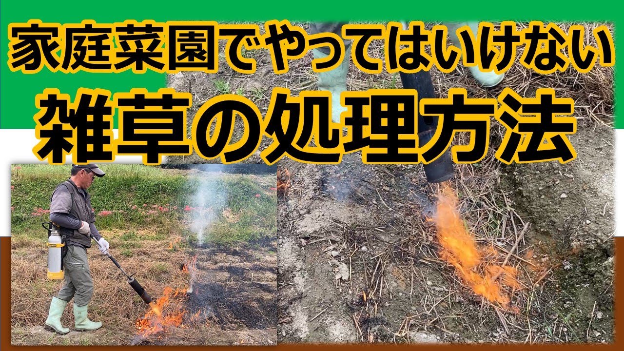 【雑草処理】雑草を焼却処分します