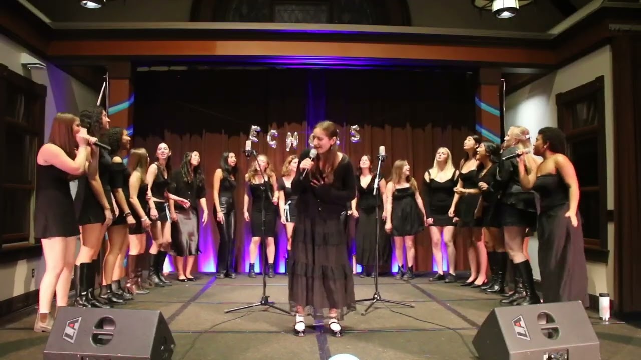Brazil  - Declan Mckenna (Lehigh Echoes A Capella)
