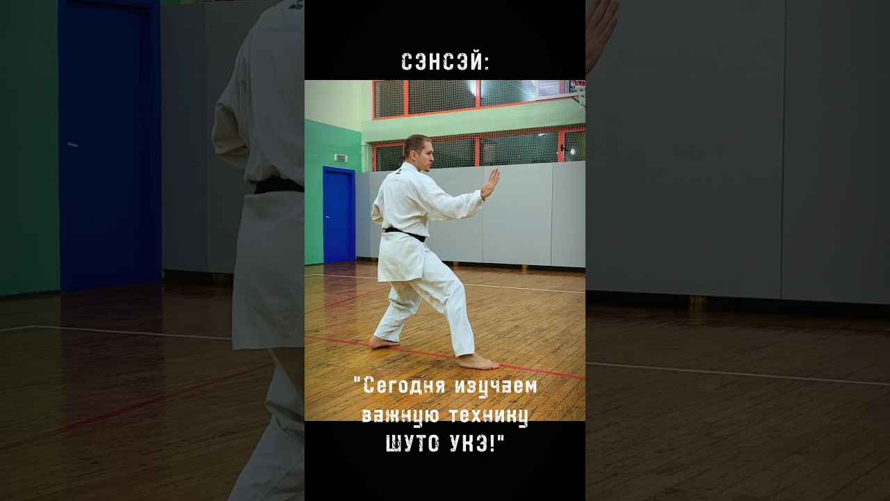 КАЖДЫЙ УЧИТЕЛЬ И СЭНСЭЙ ПОЙМЕТ) #карате #каратэ #martialarts #боевыеискусства #sensei #учитель