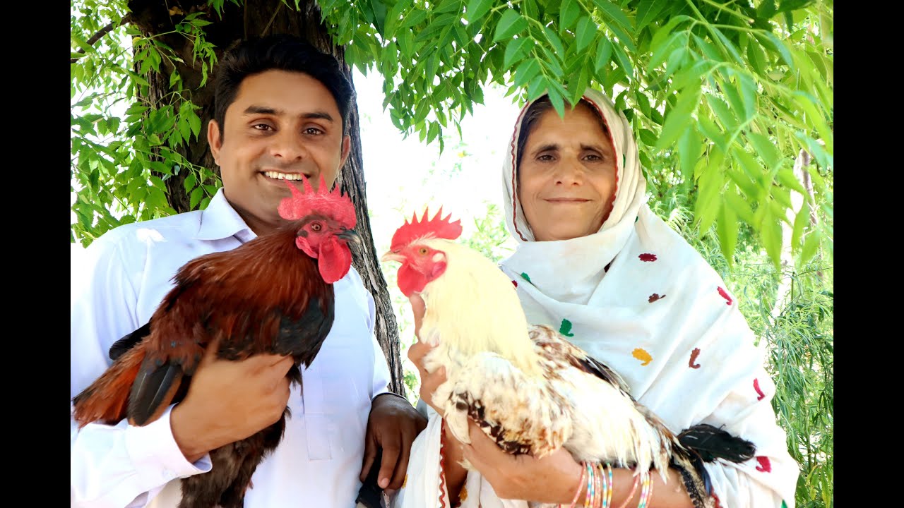 Desi Murgh Chicken Gravy Handi Village Style Easy & Ferfect Recipe | MY Village Food Secrets