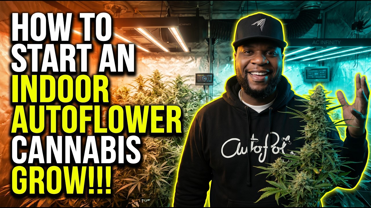 How To Start An Indoor Autoflower Cannabis Grow (2025) - Infinity Grow: S9 EP1