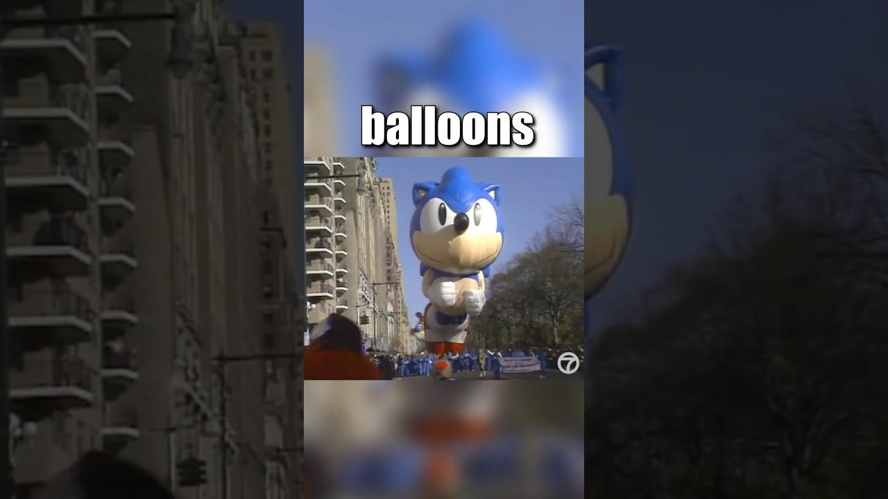THE NEW YORK SONIC INCIDENT 🦔