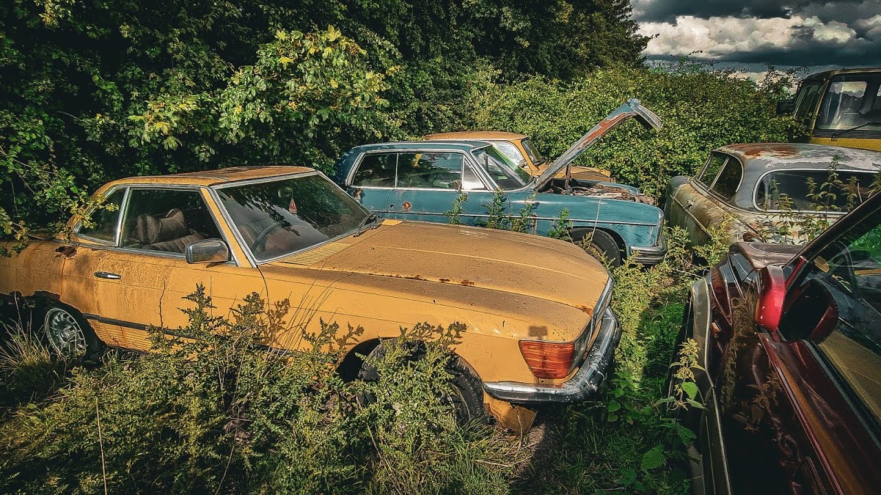 MERCEDES Car GRAVEYARD, 300SL | Спасли бы вы их - прошло 24 года - можно ли их спасти?