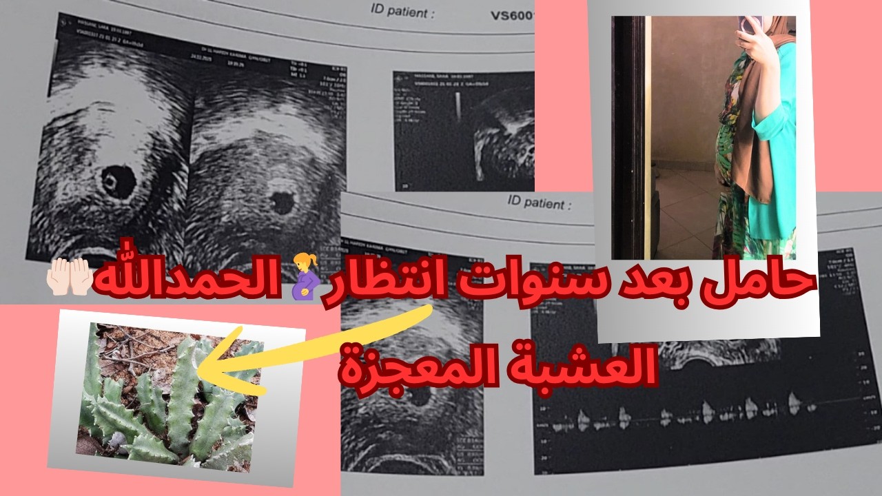 حامل بعد طول انتظار  🤰الحمد لله الذي بنعمته تتم الصالحات