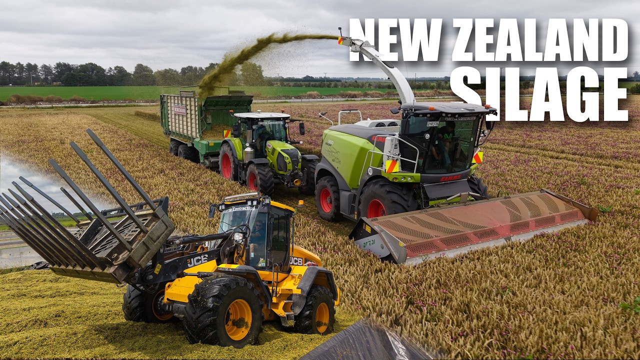 Harris Contracting | Claas Jaguar 960 Chopping Wholecrop Silage