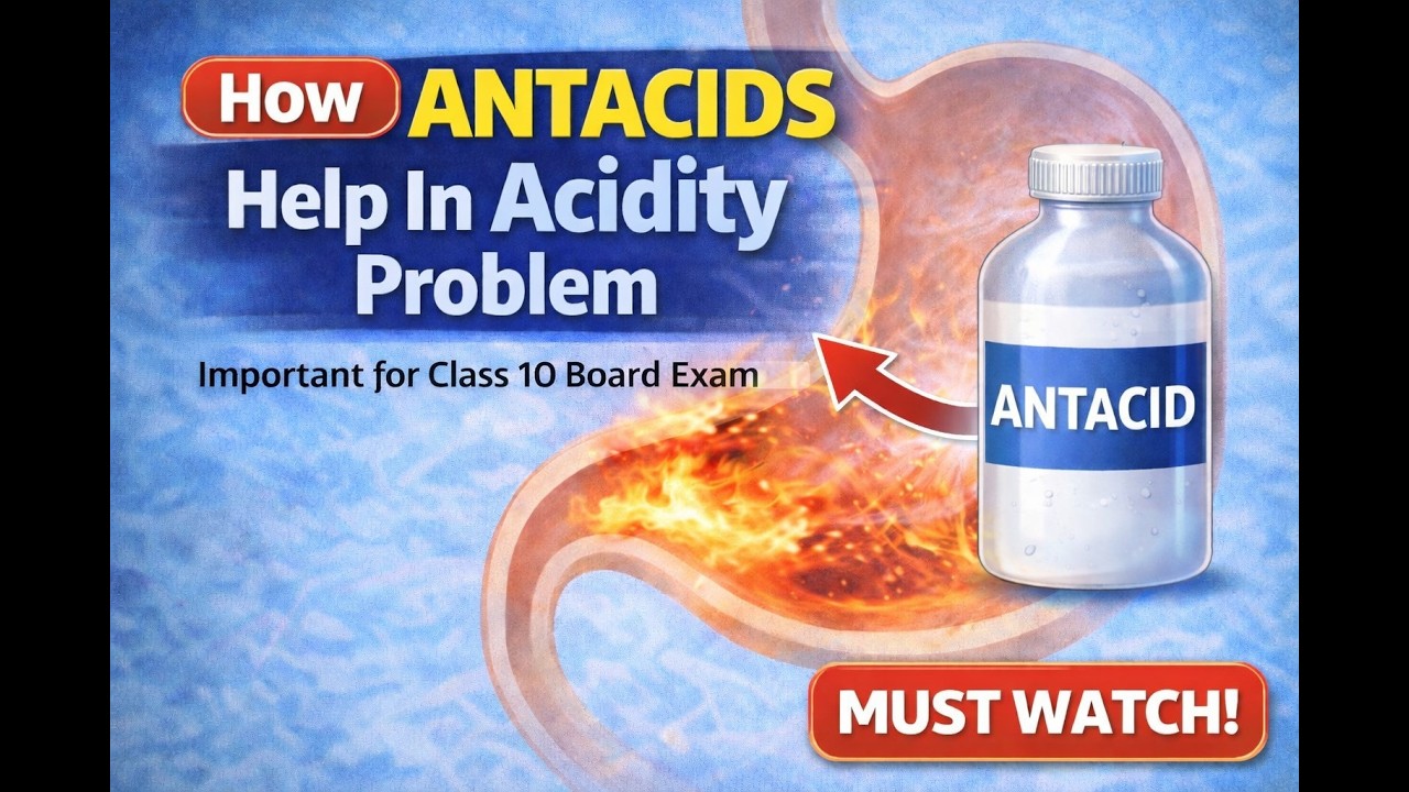 How Antacids Relieve Acidity? | Class 10 Science (Board Exam Important)