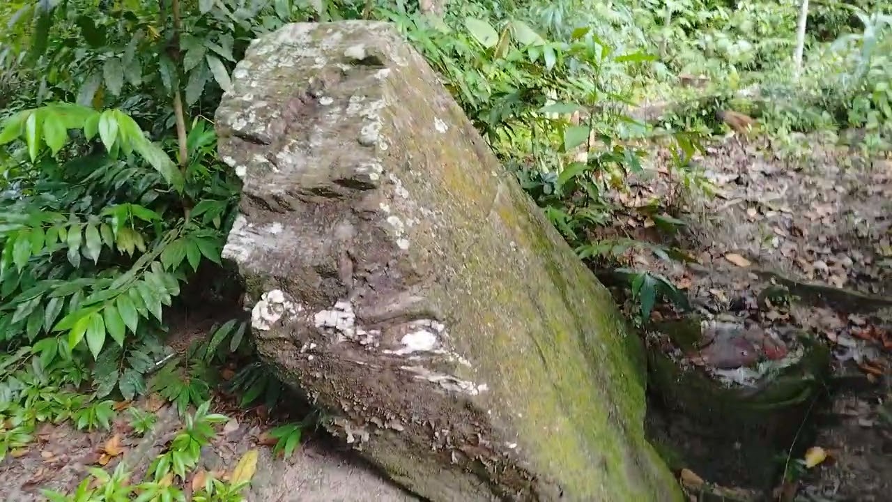 BATO MERON ARROW AT NAPALIBUTAN NG 3 PUNO NG OLD KAIMETO TREE MERON HISTORY NG YAMASHITA TREASURE...