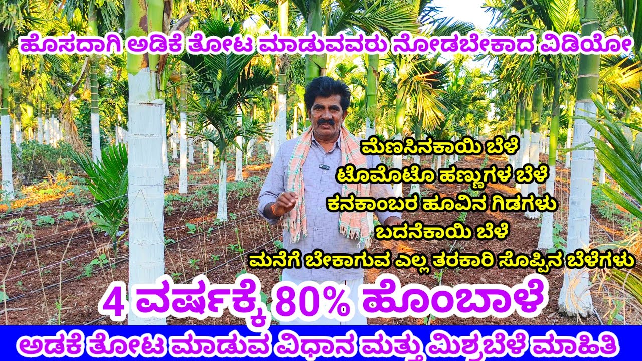 ಅಡಿಕೆ ತೋಟ ಮಾಡುವ ವಿಧಾನ. ಅಡಿಕೆ ತೋಟದಲ್ಲಿ ಅಂತರ ಬೆಳೆಯಾಗಿ ಕನಕಾಂಬರ ಹೂ, ಮೆಣಸಿನಕಾಯಿ ಕೃಷಿ,ಮಿಶ್ರ ತರಕಾರಿ ಬೆಳೆಗಳು