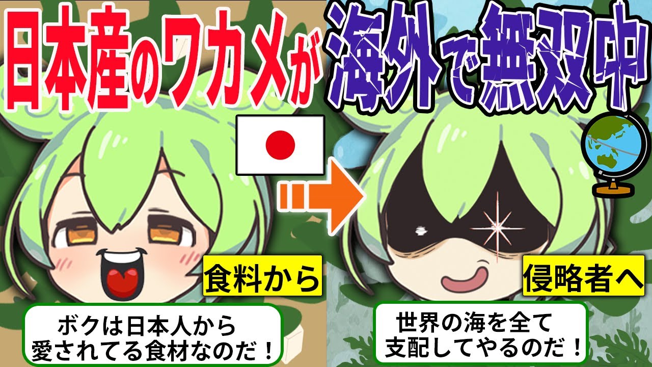 日本人が大好きな「ワカメ」が海外の海で無双した結果&hellip;海を支配してしまうw w【ずんだもん＆ゆっくり解説】
