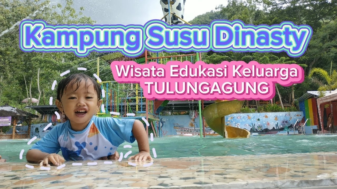 Kampung Susu Dinasty   Wisata Edukasi Keluarga