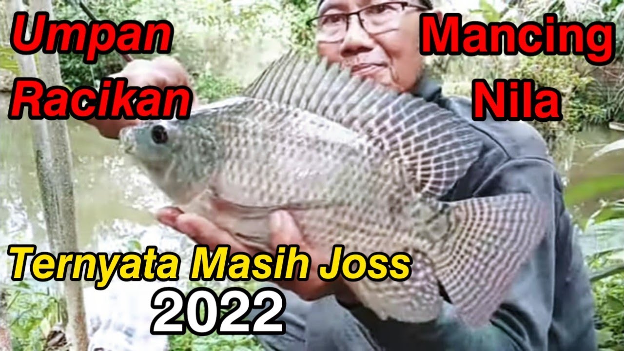 UMPAN RACIKAN IKAN NILA || NILA TAK SANGGUP UNTUK MENOLAK  || LANGSUNG TES DI SPOT