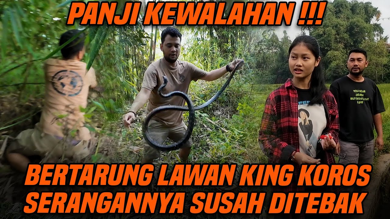 PANJI AJAK MAHASISWA CANTIK MASUK HUTAN CARI SARANG ULAR KING KOROS DI SUMEDANG