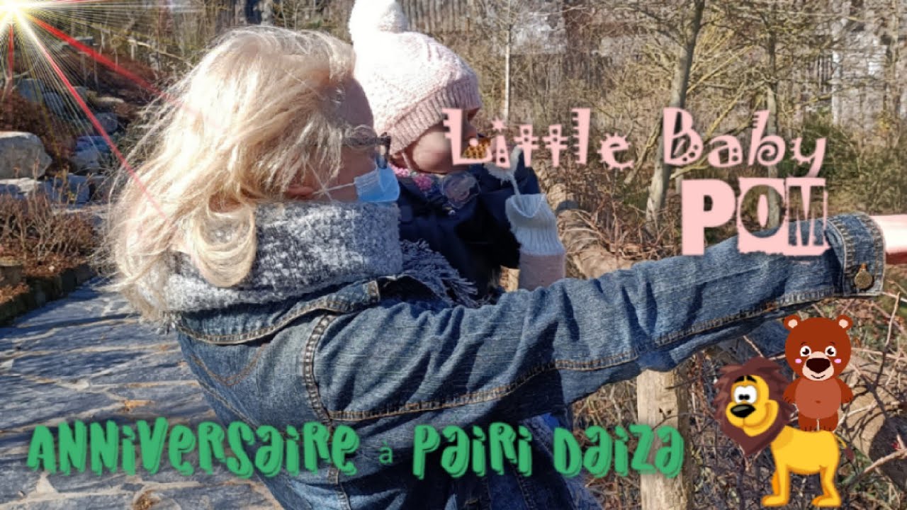 0.2 - Pairi Daiza (Margot - 1 an) 🦁🐨🐻🐼🐘🦍