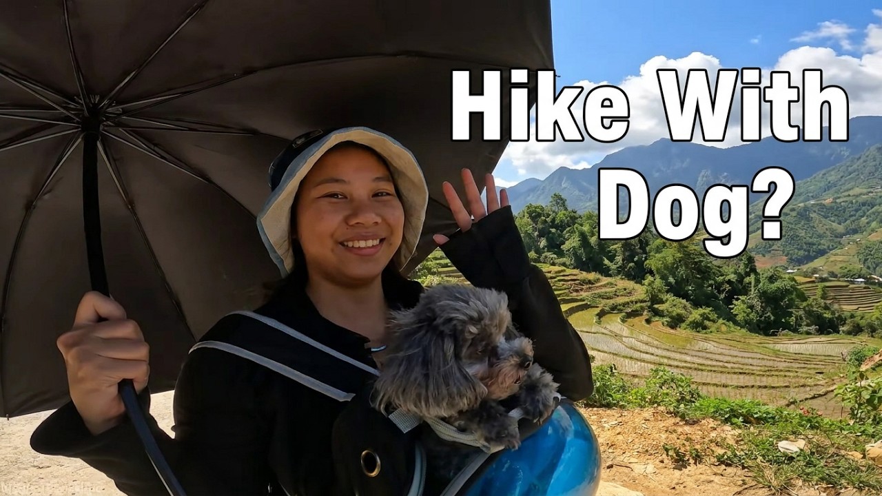 We have the most beautiful hike to Ma Tra and Ta Phin village in Sapa - Viet Nam episode 1