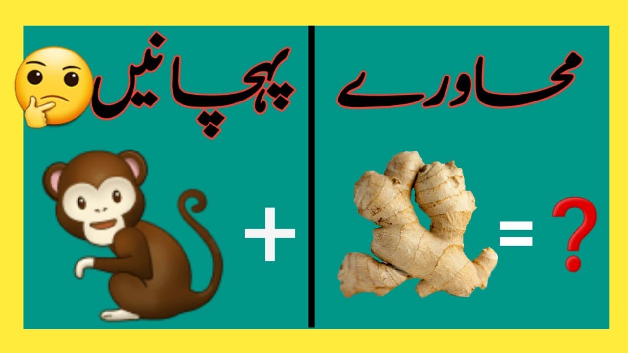 اردو محاورے: تصاویر کی مدد سے محاورے پہچانیں