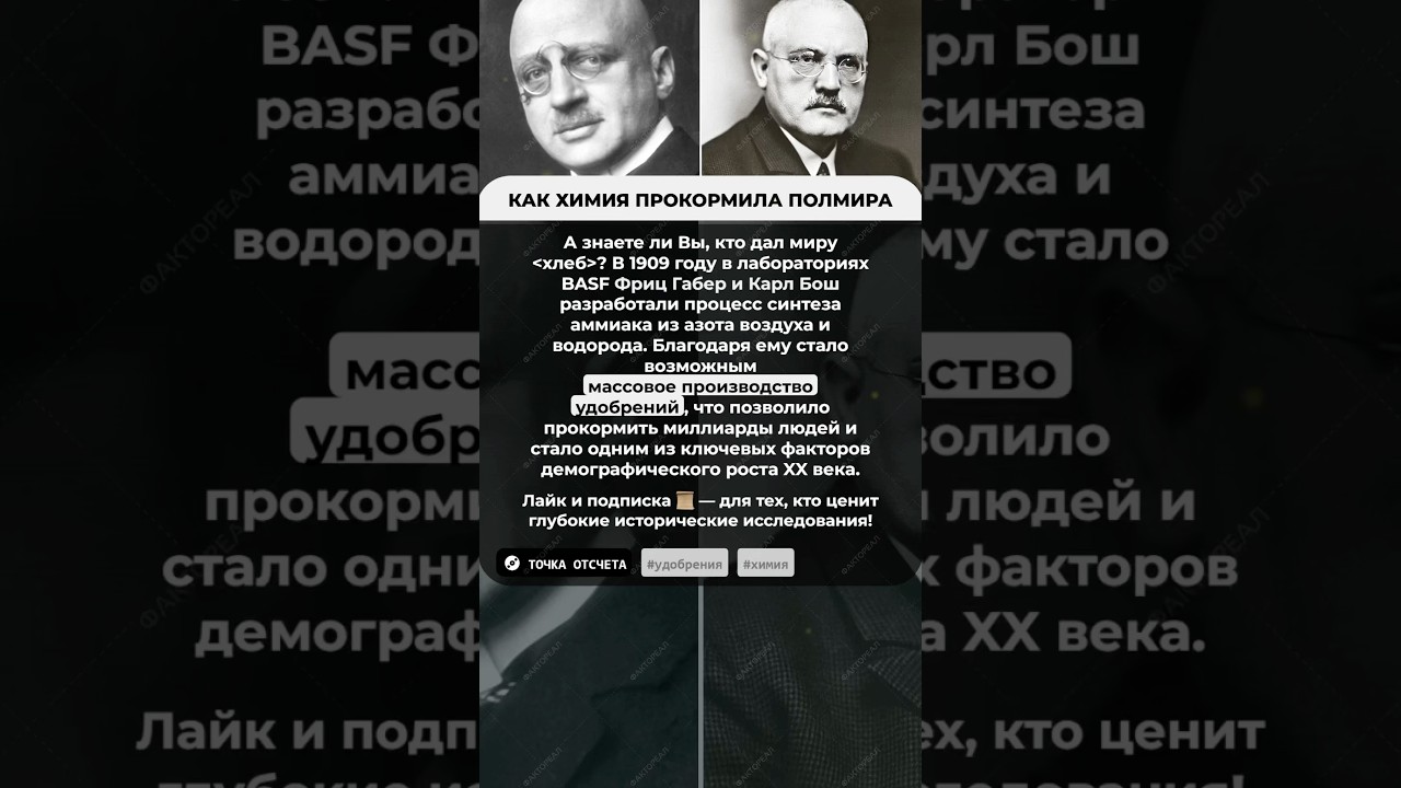 🌾 КАК ХИМИЯ ПРОКОРМИЛА ПОЛМИРА #факты #история#интересно #фактореал #shorts  #точкаотсчета