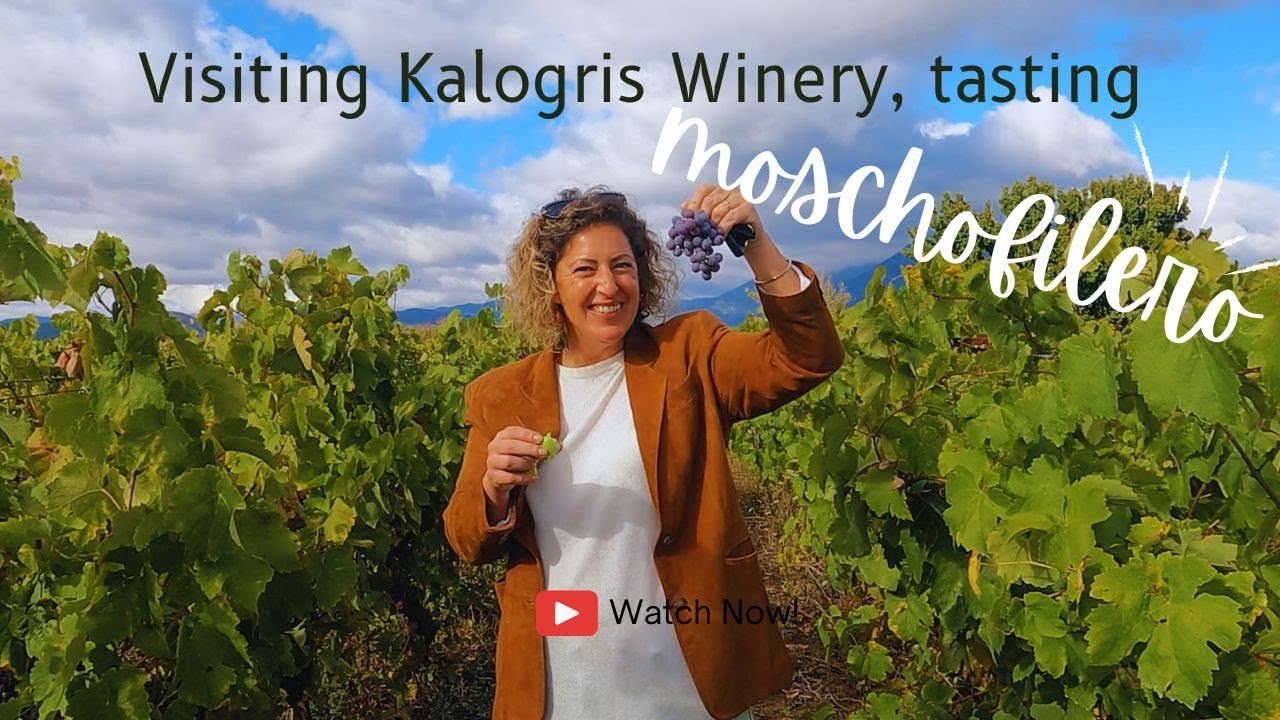 Visiting Kalogri Winery | Wine Tasting Moschofilero