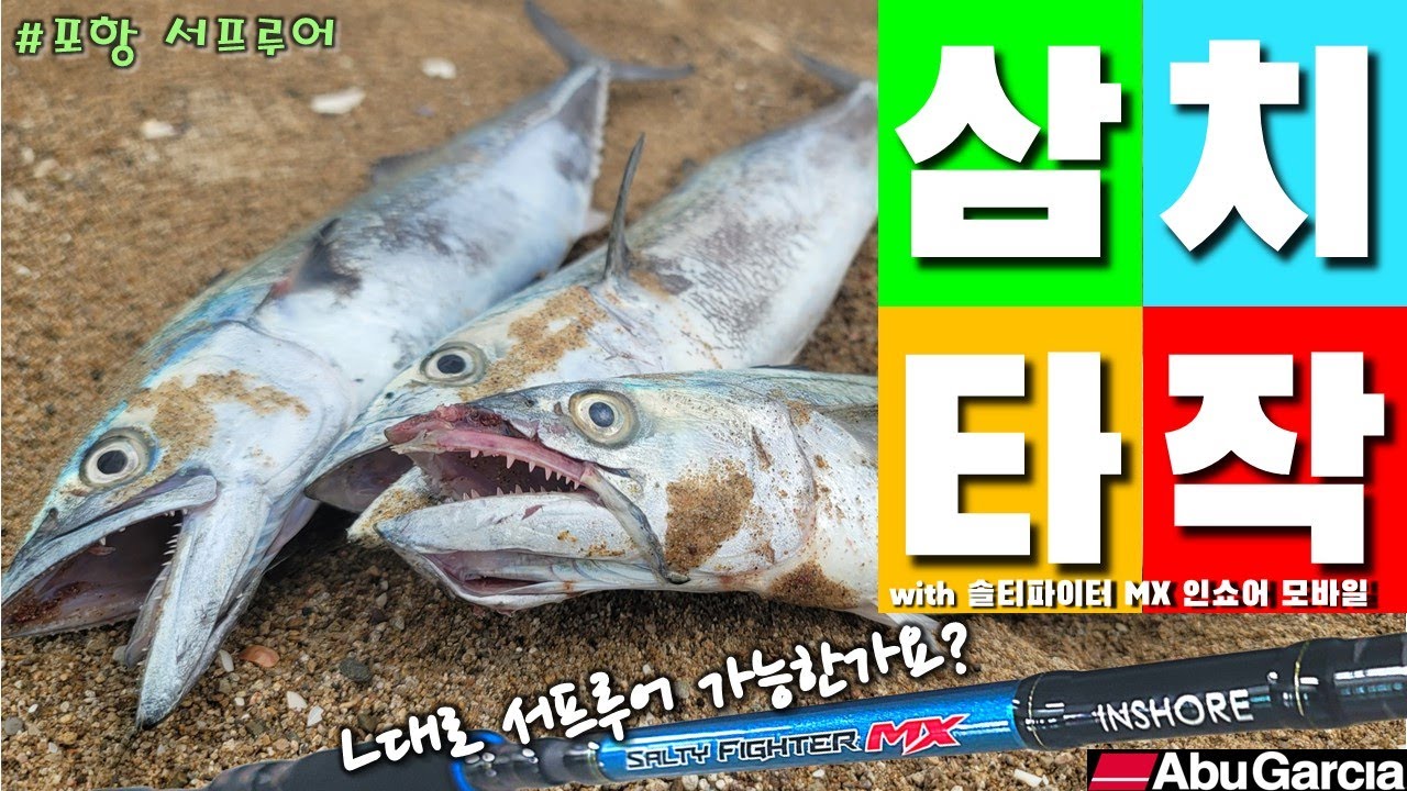 해변에 삼치가 느나느나!! 주머니에서 꺼낸 라이트 액션 로드로 서프루어 해봤어요? #솔티파이터MX인쇼어모바일 #아부가르시아 #서프루어 #fishing #칠포해수욕장