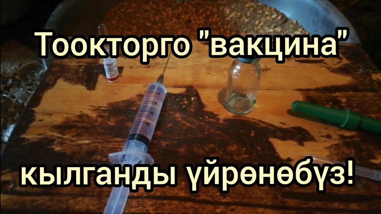 Тоокторго 