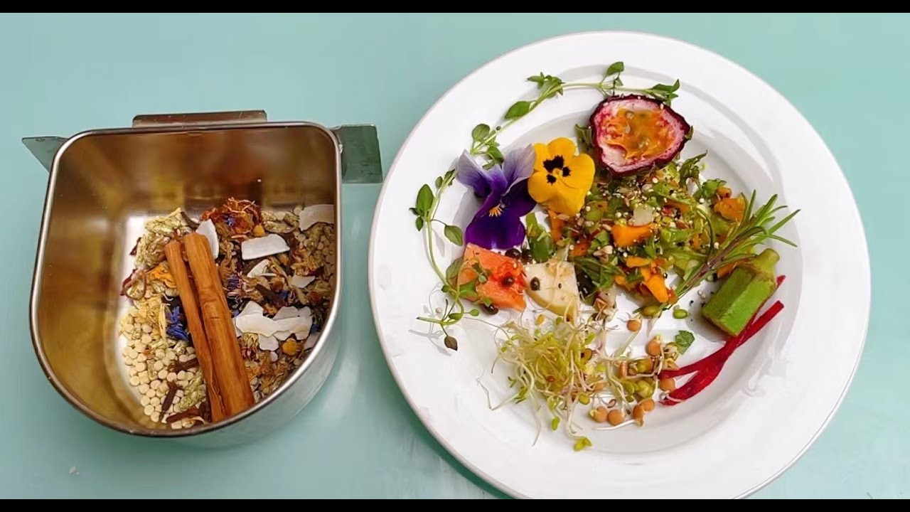 鸚鵡營養學下（乾糧）：自製混合種子穀物，香料，可食用乾花，蔬菜水果乾 #鸚鵡 #凱克鸚鵡 #鳥 #birds #parrot #parrots #caiqueparrot #玄鳳鸚鵡 #ireland