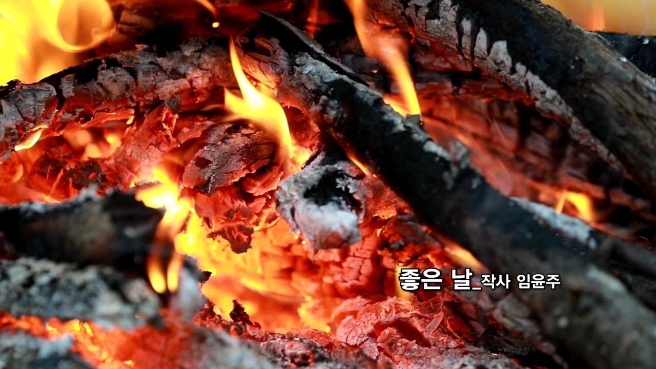특집_트로트_임윤주 시인의 좋은 날_작사 임윤주_가수 쥬쥬_작 편곡 수노_기획 윤기영